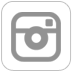 Icono de instagram