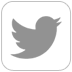 Icono de twitter
